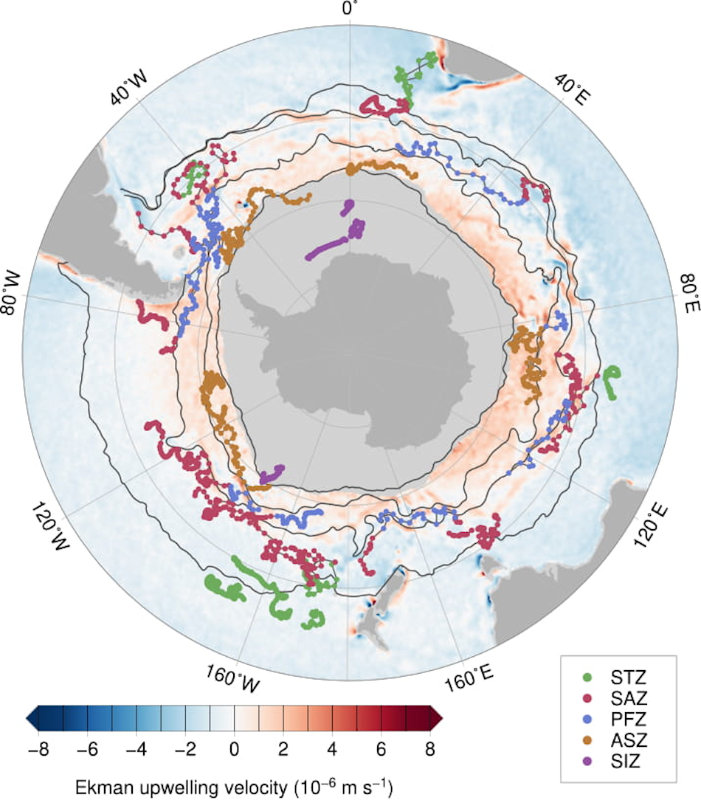 Die Karte zeigt die Messungen, die im Laufe der Jahre 2014 – 2017 von den Drohnen vorgenommen worden waren. Bisher hatte man nur Daten aus der Drake Passage. Hellgrau zeigt das Packeis an und die dunkelorangen Bereiche sind diejenigen Orte mit höher-als-erwartet-Mengen von CO2. Bild: Alison Gray, UW