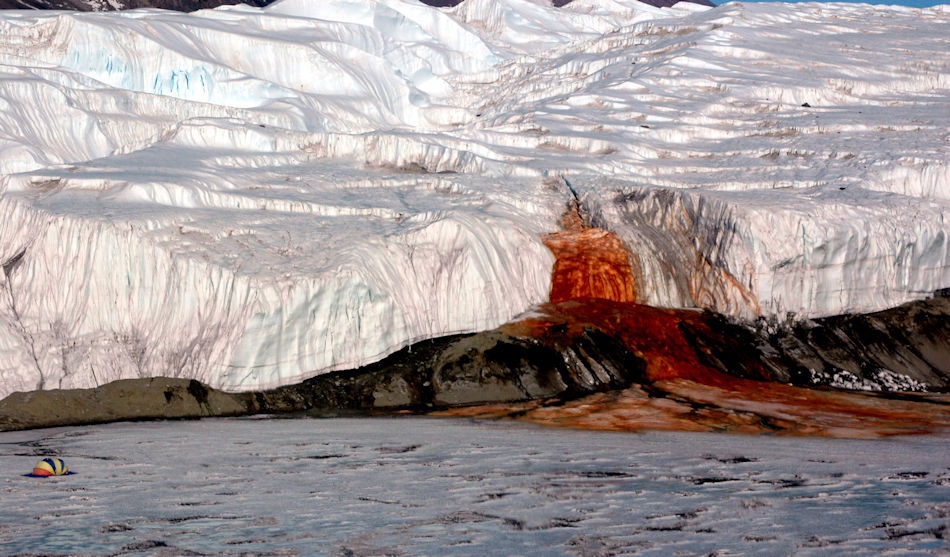Die Blutfälle liegen im Taylor Valley, einem der Täler der Dry Valleys in der Ostantarktis. Obwohl die Region zu den trockensten der Welt gehört, schiesst flüssiges Wasser aus dem Gletscher. Das Geheimnis: enorm hohe Salzkonzentrationen und Eisenoxide, die dem Wasser die charakteristische Färbung geben. Bild: Peter Rejcek