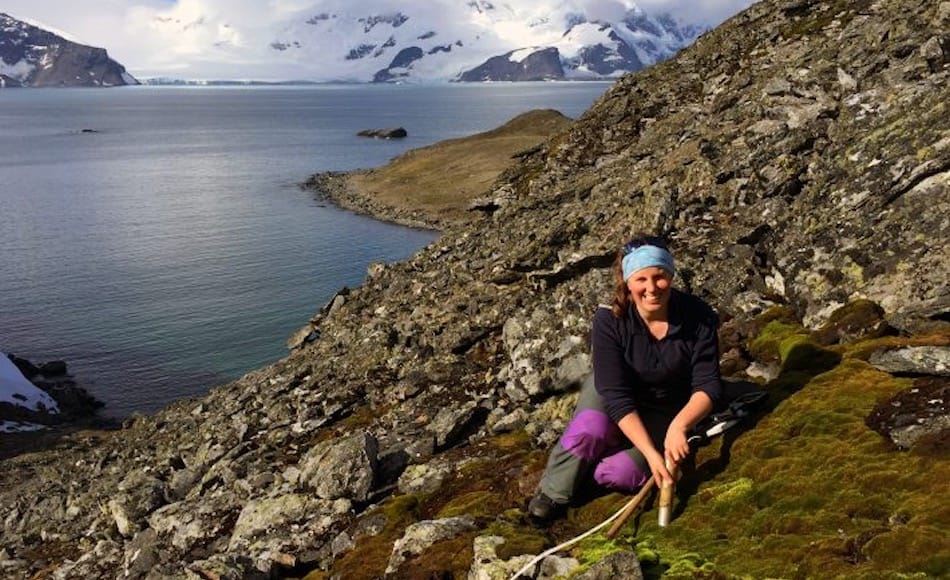 Da die Mücken sehr klein und bodenbewohnend sind, ist das Sammeln der Proben eine mühsame Sache. Auch wenn die Umgebung noch so zauberhaft aussieht. Bild: Jeasmine Bartlett