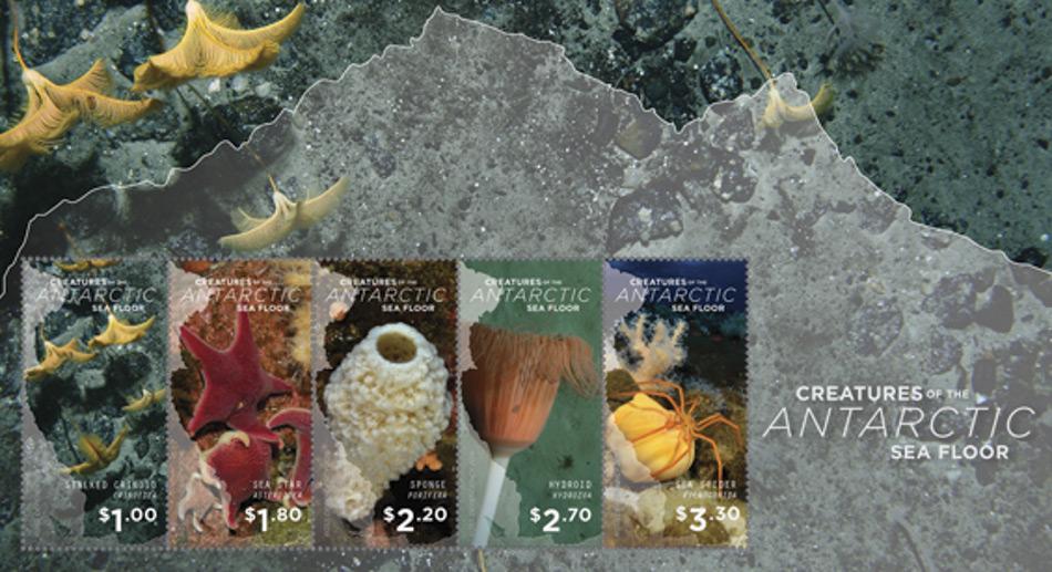 Eine Reihe neuer Briefmarken zeigt die bunte Seite der Antarktis. Die 2016 Rossmeer Briefmarken, die von der neuseeländischen Post herausgegeben wurden, hat die diversen und farbenfrohen Geschöpfe des antarktischen Meeresbodens zum Thema.