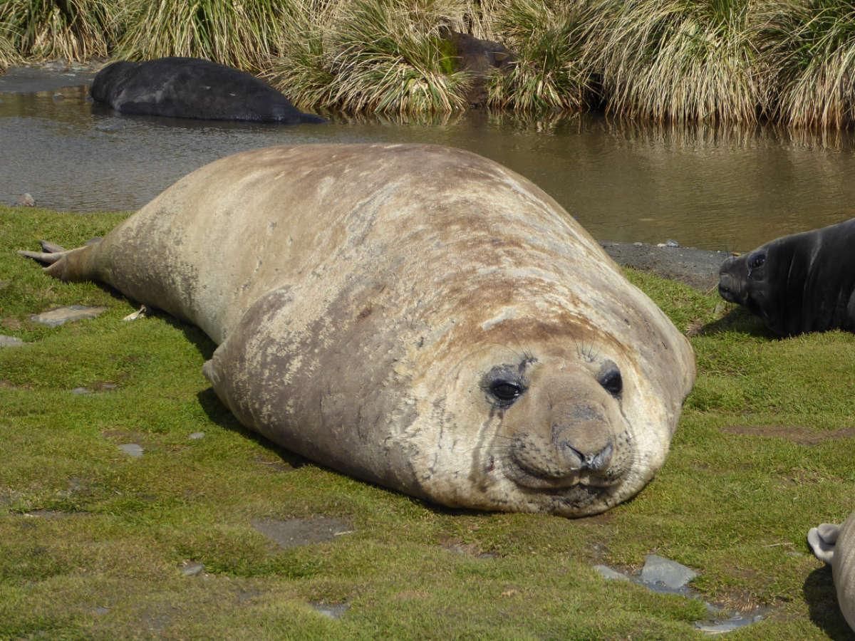 PolarNews Impressionen 3